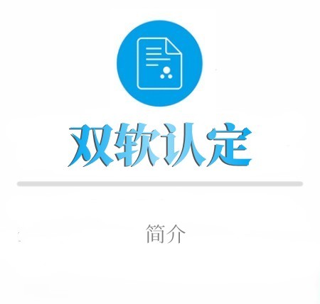 双软认定简介